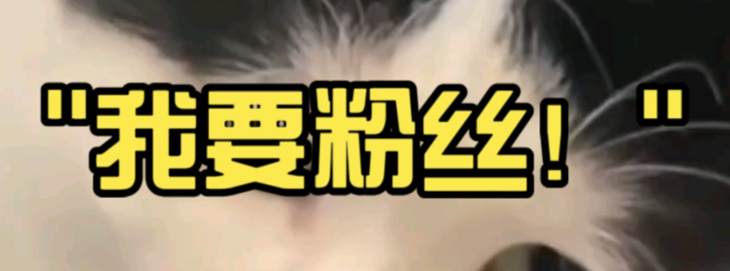 抖音粉丝如何快速增长？拼多多零元下单如何取消？